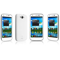 05-fly-iq443-trend