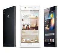 ascendp6
