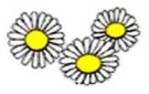 daisy-1