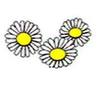 daisy-1