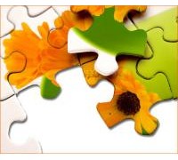 km_pm_cont_puzzle