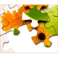 km_pm_cont_puzzle