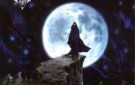 limbonic-art-moon-in-the-scorpio-1996_1