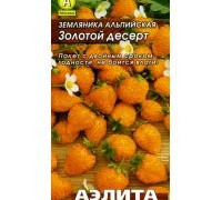 zolotaya_zemlyanika